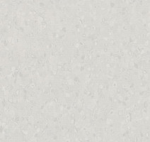 Линолеум Forbo Sphera Element 50002 white neutral grey фото 1 | FLOORDEALER